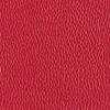 Dogwood