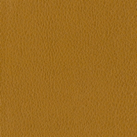 Butterscotch Brisa